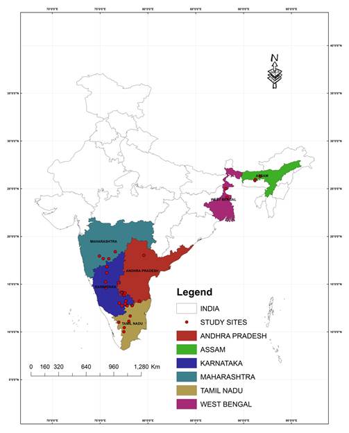 The populations collected from different geographical study areas are represented in dots