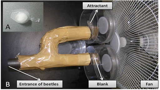 The device used to evaluate the effectiveness of the tested attractants