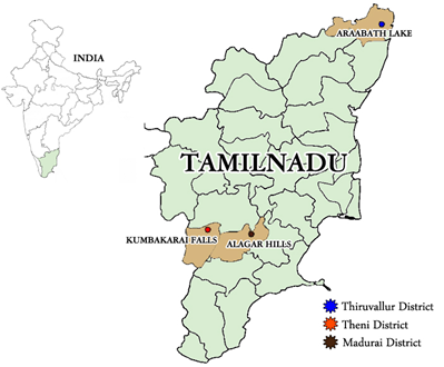 Map: Collection of Drassodes luridus species in three different districts of Tamil Nadu