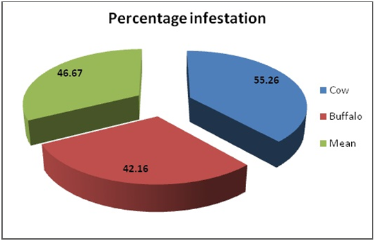 Fig: Pie chart showing host specific percentage infestation observed during the present study from Haryana, India.