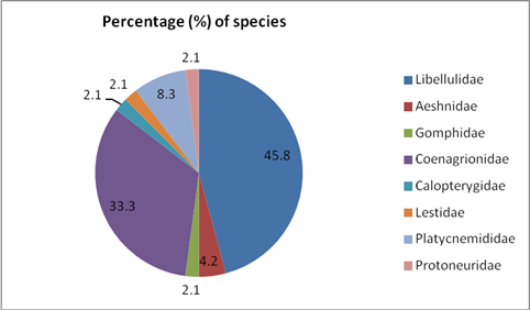 Abundance of different families of Odonata (Dragonflies & Damselflies) in sampling areas during July’09 to June’10