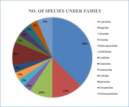 Family Wise Fish Species Composition