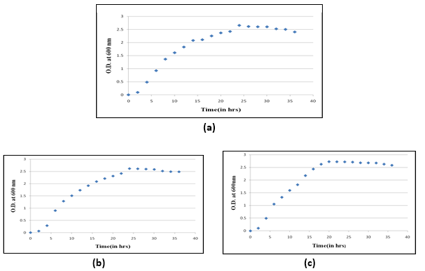 Colony characteristics of isolates
