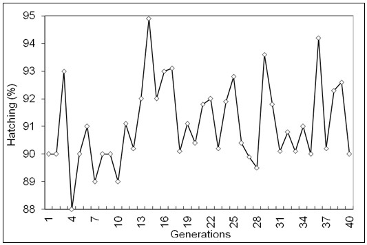 specific breeding procedure in five years through different seasons