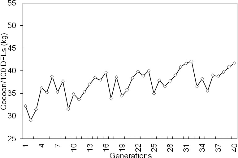 cocoon yield/100 dfls (kg)