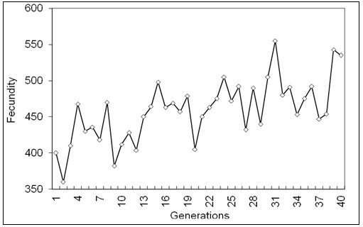 breeding procedure in five years