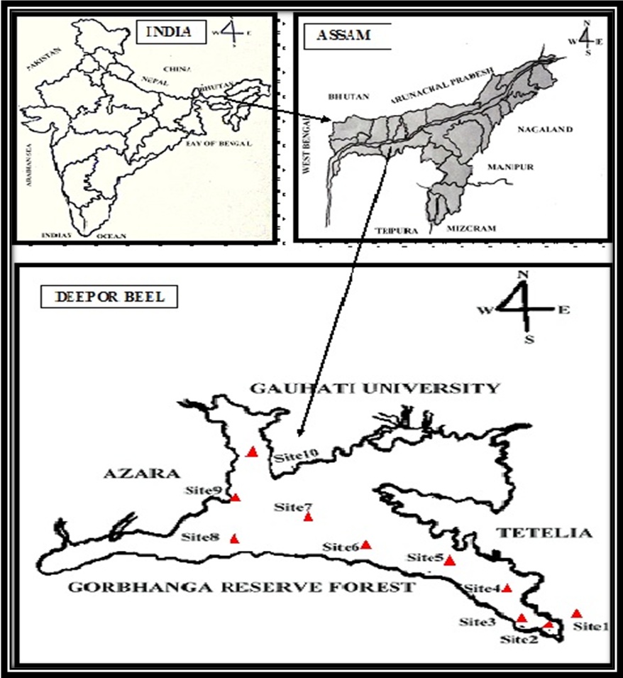 Fig: Map showing India, Assam and different selected sites of Deepor beel