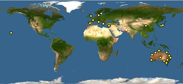 Fig: World-wide distribution map of L. serricorne